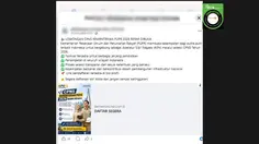 Deretan Hoaks Pendaftaran CPNS Beredar di Media Sosial, Simak Daftarnya