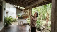 7 Cara Menata Kandang Burung Hias Agar Rumah Kecil Tidak Sumpek