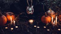 Ilustrasi Pesta Halloween Drakula (Dracula's Halloween Party), Rumania. (Unsplash/freestocks)