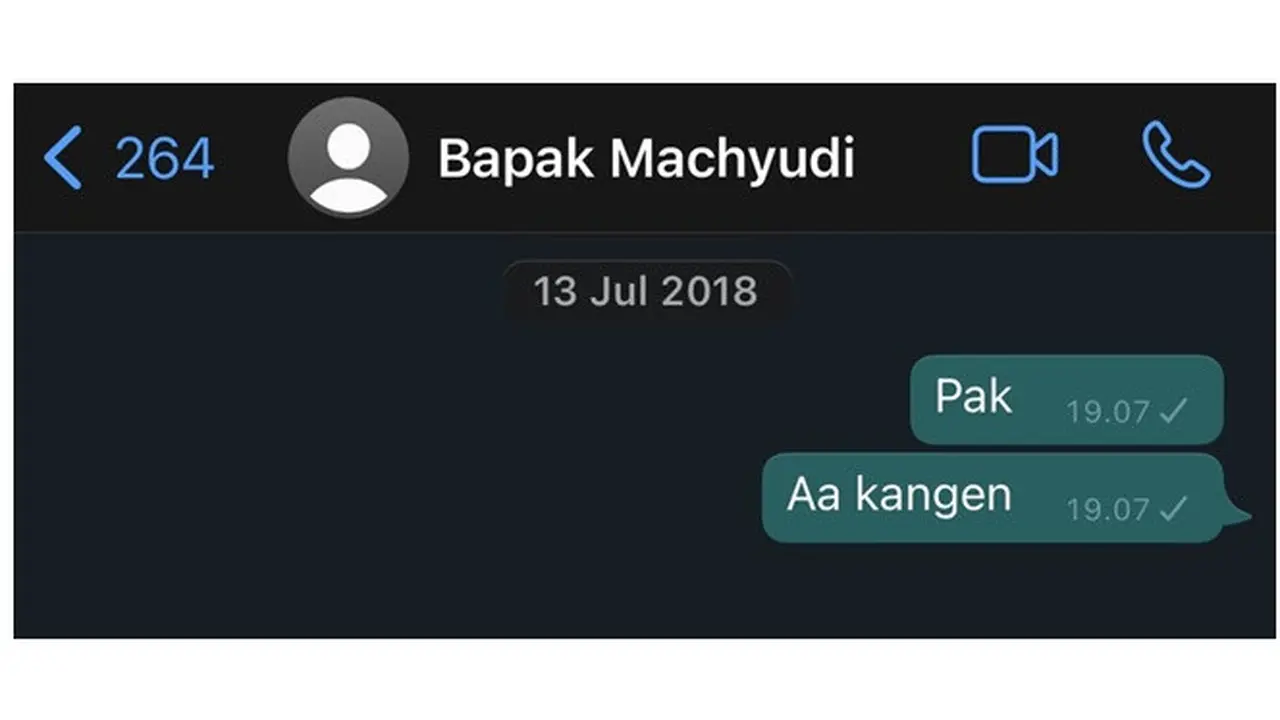 Ungkap Rindu, 6 Chat  Anak ke Mendiang Ayahnya Ini Bikin Haru