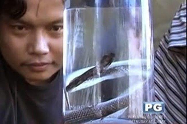 Norberto dan ular temuannya | foto: copyright philippinesdaily.org