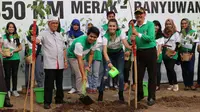 Sebanyak 41.758 ribu pohon trembesi berhasil ditanam disepanjang jalan pantura Merak hingga
Banyuwangi.