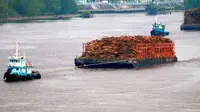 Dua buah tug boat menarik tumpukan kayu bahan baku bubur kertas di Sungai Siak, Riau, Rabu (3/3). Berdasarkan data ekspor bubur kertas mengalami penurunan hingga sekitar 440 juta dollar AS.(Antara)