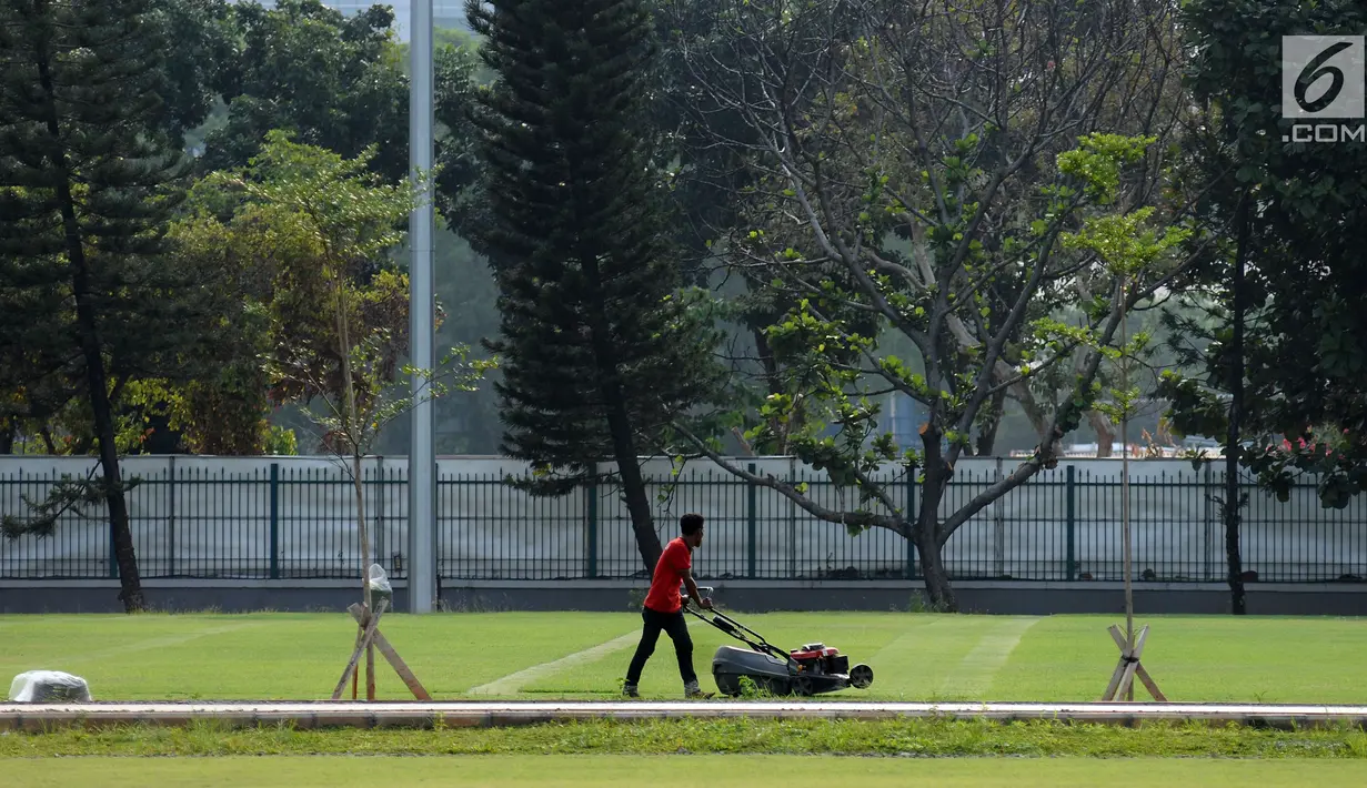 Salah satu pekerja memotong rumput di Lapangan A Senayan, kompleks Stadion Utama GBK, Jakarta, Selasa (12/9). Meski hasil renovasi belum 100 persen, kondisi lapangan terlihat mulus dengan rumput alami. (Liputan6.com/Helmi Fithriansyah)