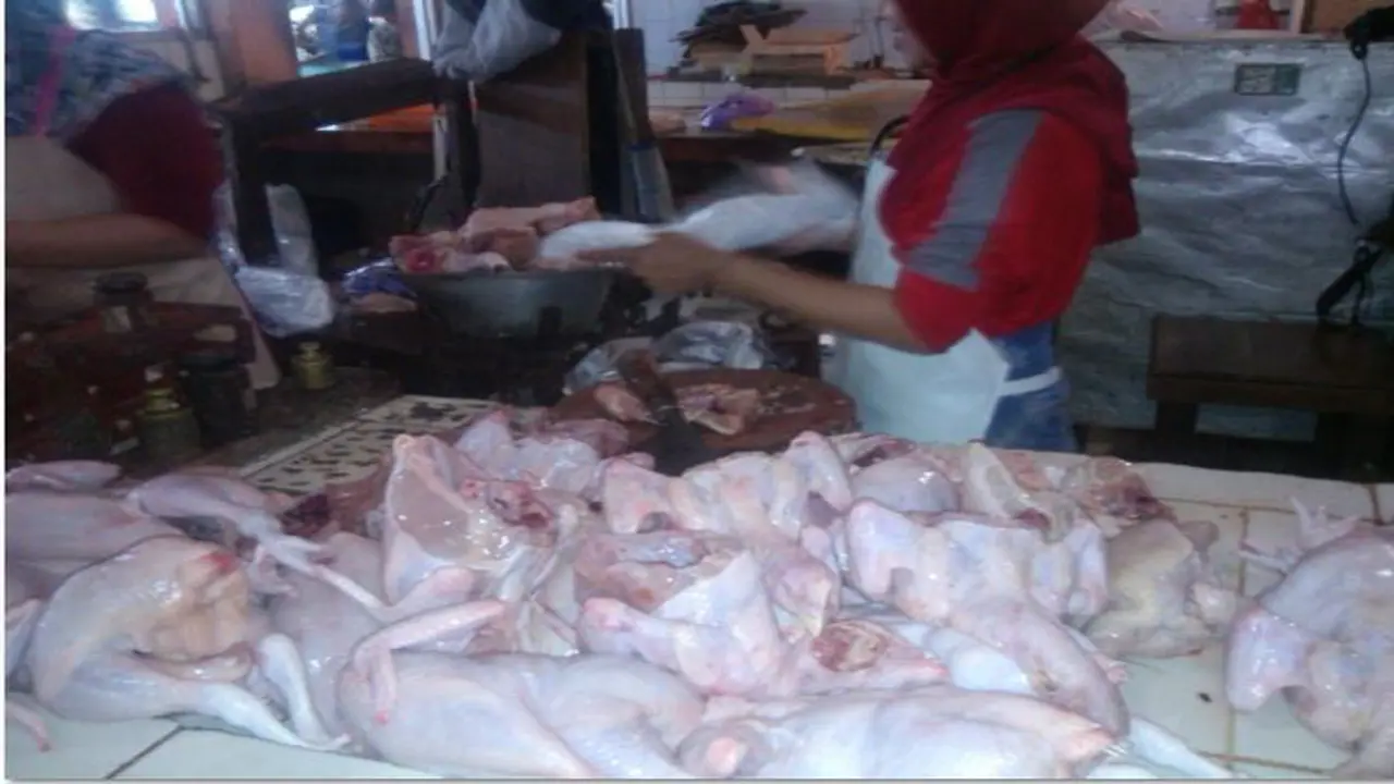 Penjual Ayam
