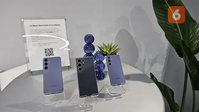 Samsung Galaxy S24 series