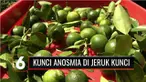 Anosmia, alias kehilangan kemampuan indra penciuman, banyak dialami pasien Covid-19. Kondisi ini membuat pasien tidak berselera makan dan bisa menyebabkan malnutrisi yang berujung turunnya berat badan.