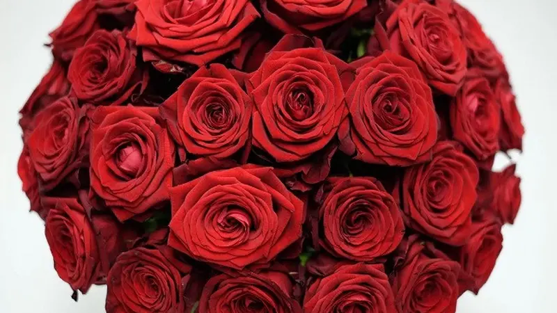 Hadiah Mewah di Hari Valentine, Buket Bunga Merah Rp 98 Juta (telegraph.com)