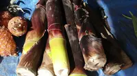 Manfaat Rebung untuk Kesehatan dan 3 Ide Menu Sahur yang Bisa Kamu Coba