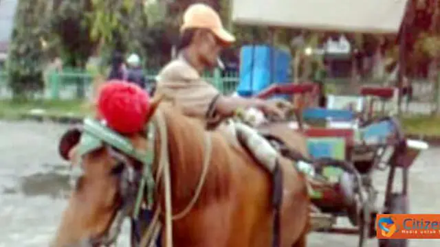 Tamat si Tukang Delman