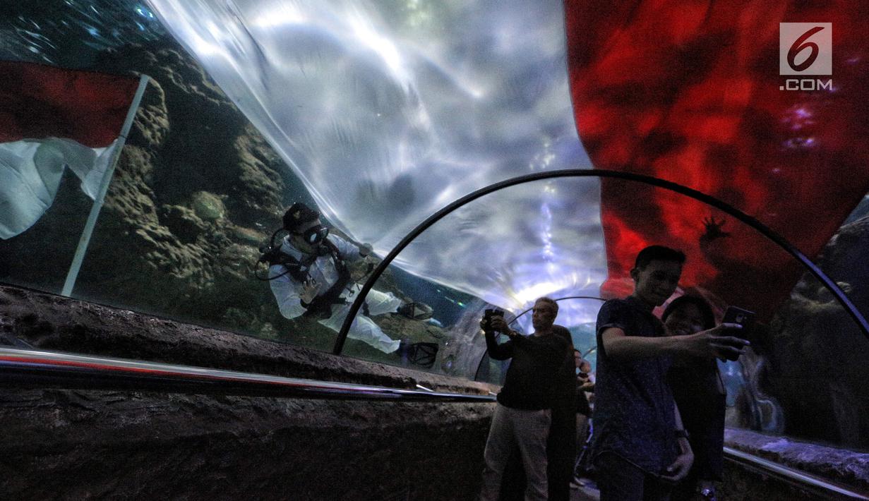 Penyelam membentangkan bendera Merah Putih untuk memperingati HUT Ke-73 Republik Indonesia di Seaworld Ancol, Jakarta, Jumat (17/8). Pengibaran bendera melibatkan para penyelam profesional dan artis peran Marsha Aruan. (Liputan6.com/Faizal Fanani)