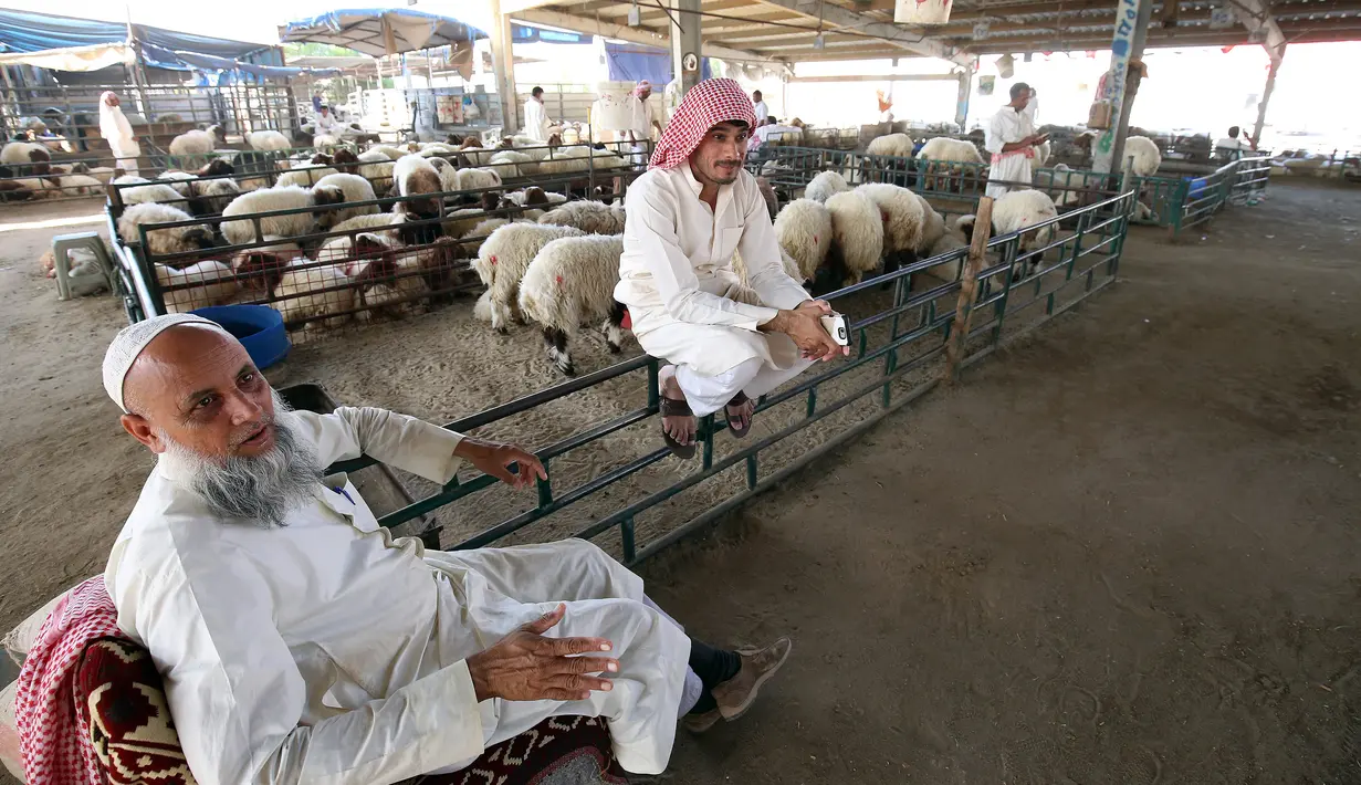 Pedagang menunggu pembeli hewan kurban menjelang Idul Adha di sebuah pasar ternak di Kuwait pada 5 Agustus 2019. Umat Islam di seluruh dunia akan merayakan Idul Adha yang identik dengan tradisi berkurban dengan hewan seperti kambing, domba, unta, sapi dan kerbau. (Yasser Al-Zayyat/AFP)