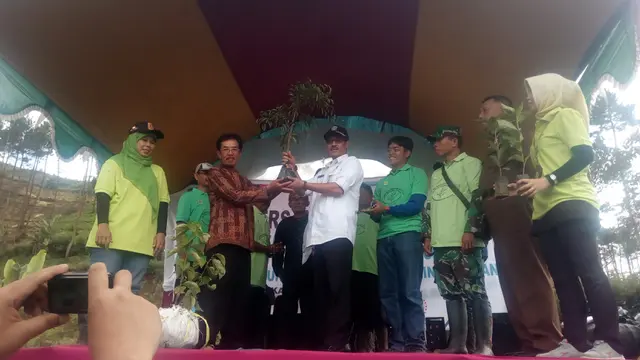 Menanam kopi