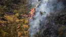 Kebakaran hutan di kawasan Taman Nasional Bromo Tengger Semeru (TNBTS), Kabupaten Probolinggo, Jawa Timur, Kamis (6/8/2026). (AFP/ Juni Kriswanto)