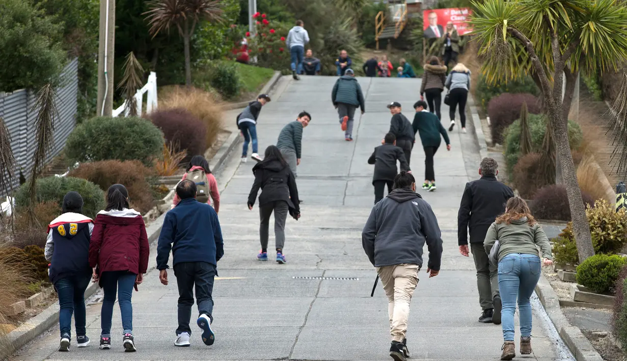 Wisatawan berjalan menyusuri jalanan paling curam di dunia, Baldwin Street, di kota Dunedin, Selandia Baru, 26 Agustus 2017. Jalanan sepanjang 350 meter itu memiliki kemiringan yang ekstrem, yakni 1:2.86 dengan gradien 35 persen. (AP Photo/Mark Baker)