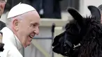 Paus Fransiskus tersenyum ketika melihat seekor llama di Lapangan Santo Petrus, Vatikan, Rabu (11/4). Tiga pria dari Tyrol Selatan di Italia Utara berjalan dengan tiga llama menuju Vatikan. (AP Photo/Andrew Medichini)