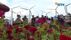 Taman Bunga Celosia mampu membuat pengunjung seolah-olah berwisata ke Eropa.