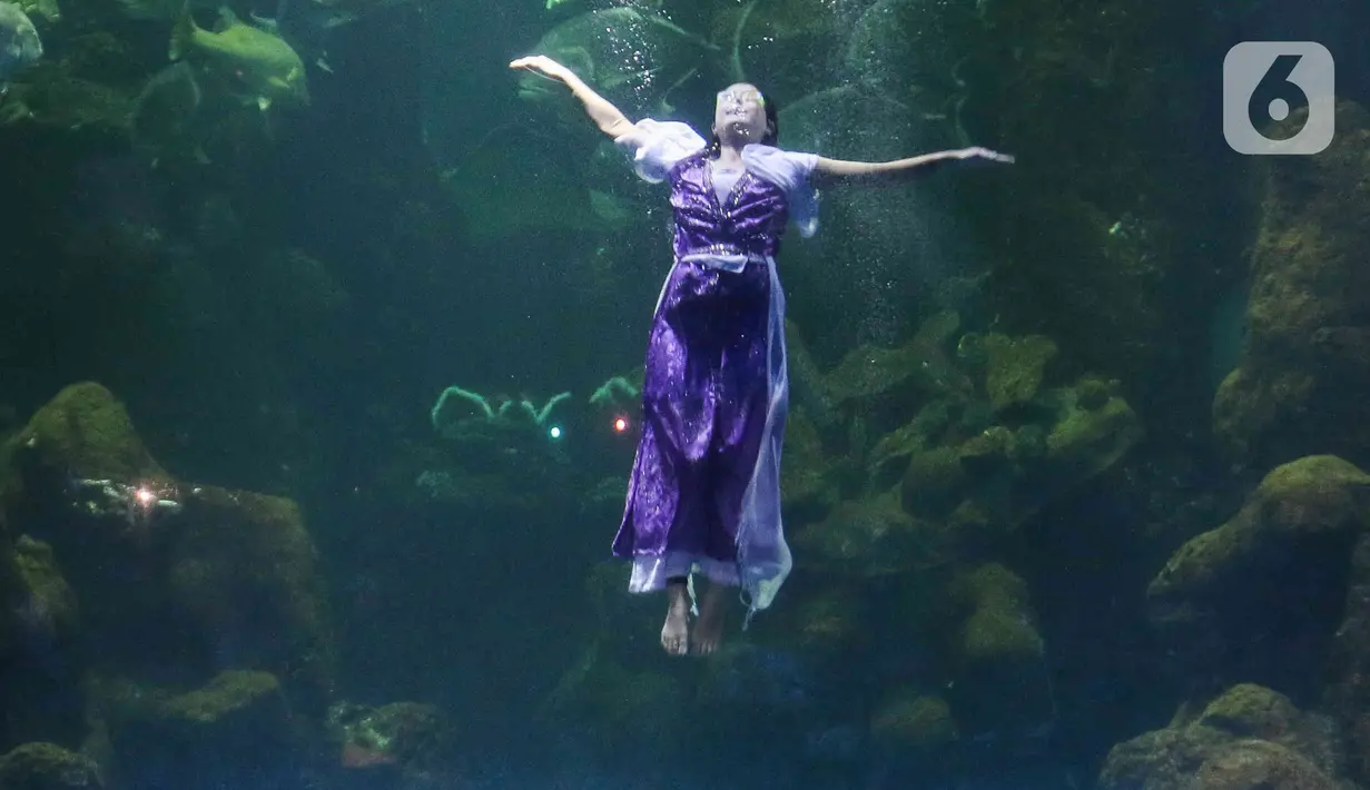 Seorang penampil beratraksi di dalam akuarium Sea World Ancol, Jakarta, Rabu (18/1/2023). Pertunjukan barongsai bawah air tersebut merupakan rangkaian Ancol Lunar Fest 2023 dalam rangka menyambut Tahun Baru Imlek 2574 Kongzili. (Liputan6.com/Herman Zakharia)