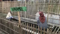 Sebanyak sembilan mahasiswa Insitut Pertanian Bogor (IPB) berhasil menyulap sebuah selokan warga, menjadi kolam produktif di Kampung Sindangwangi, Desa Sukakarya, Kecamatan Samarang, Garut, Jawa Barat. (Liputan6.com/Jayadi Supriadin)