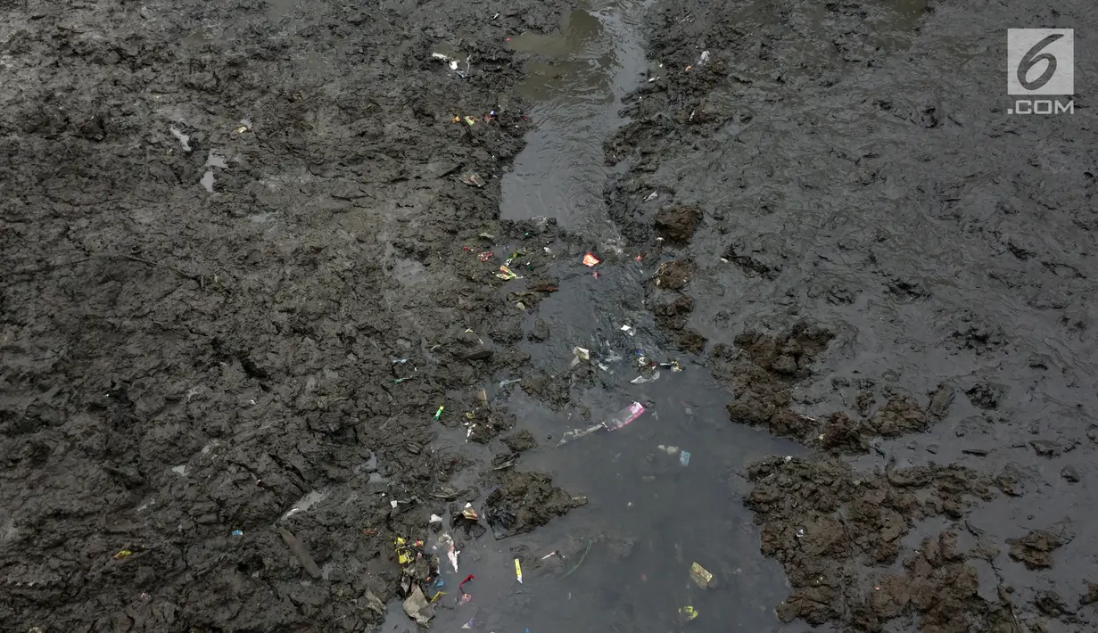 Lumpur dan sampah yang mengendap di anak Sungai Ciliwung, Jakarta, Jumat (26/1). Pengerukan dilakukan untuk mencegah pendangkalan sungai dan mengantisipasi banjir seiring datangnya musim hujan. (Liputan6.com/Immanuel Antonius)