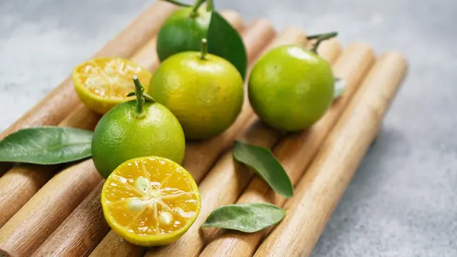 jeruk nipis songkit calamansi limau kasturi