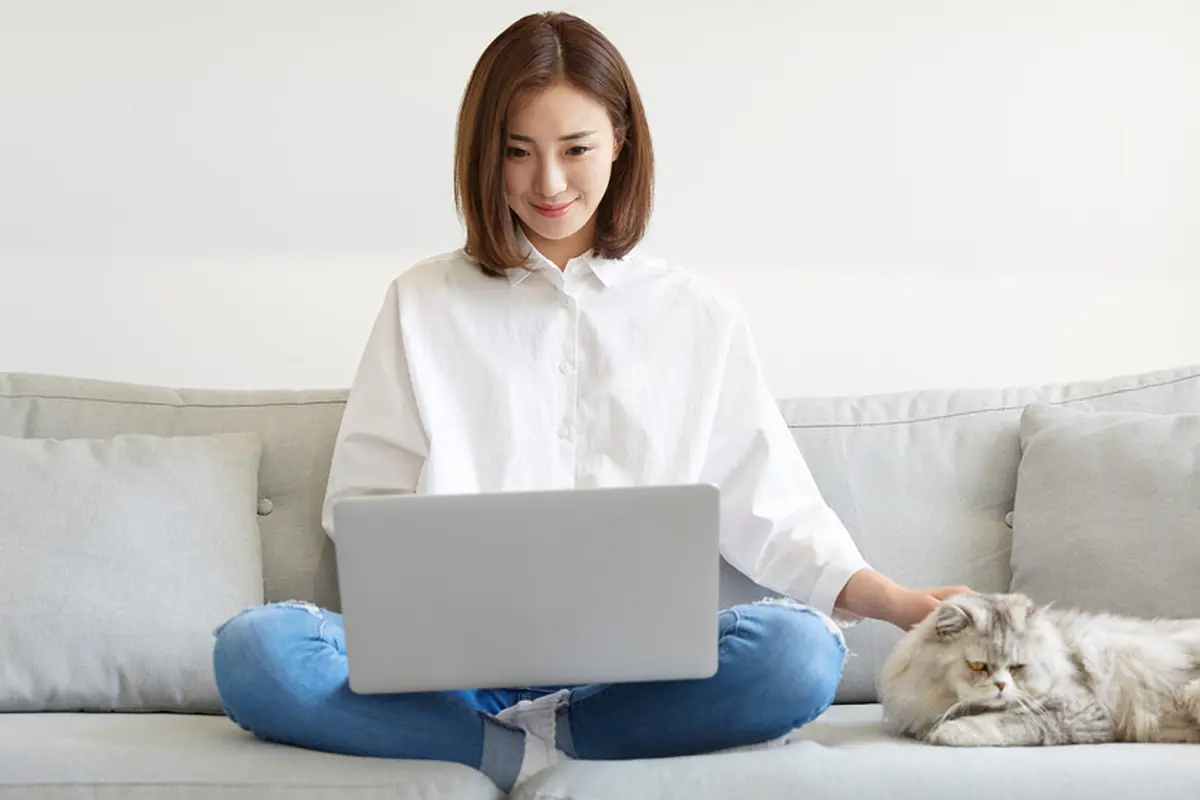 Kepribadian Pecinta Kucing