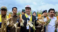 Mentan Amran panen jagung seluas 1200 Ha di Tanah Laut. (foto: dok. Kementan)