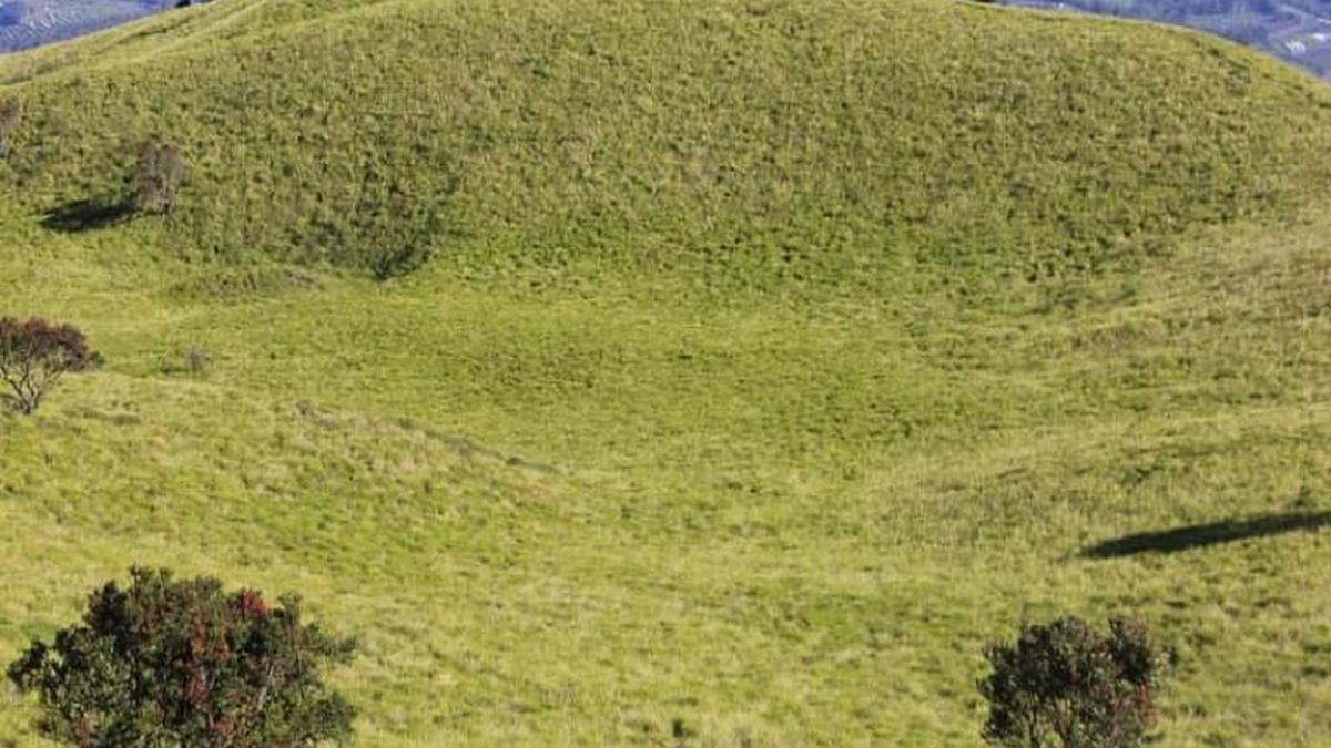 Pendaki Asal Temanggung yang Hilang di Gunung Merbabu Ditemukan Meninggal Dunia