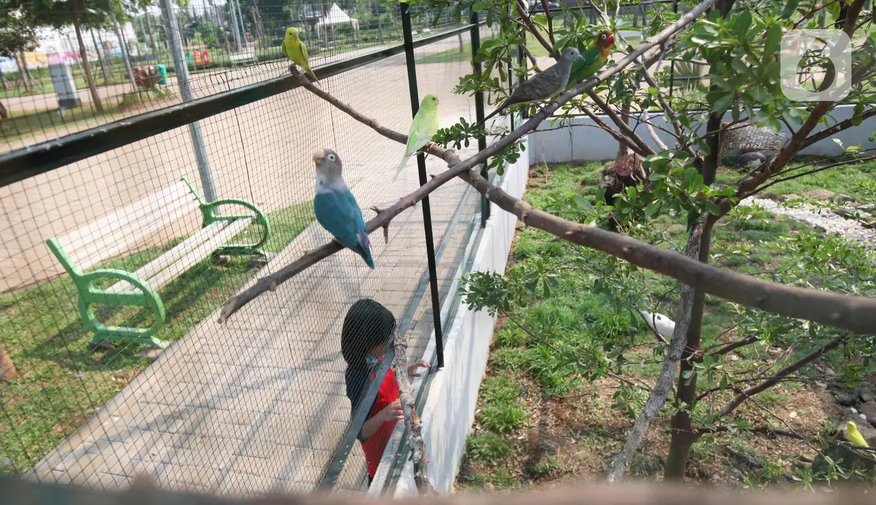 Anak-anak melihat satwa di dalam kawasan Taman Jalur Hijau Kosambi, Jakarta Barat, Sabtu (8/1/2022). Di taman ini bukan hanya ruang terbuka hijau yang sangat bagus untuk berswafoto tetapi juga terdapat berbagai macam hewan untuk mengedukasi anak-anak yang datang. (Liputan6.com/Angga Yuniar)