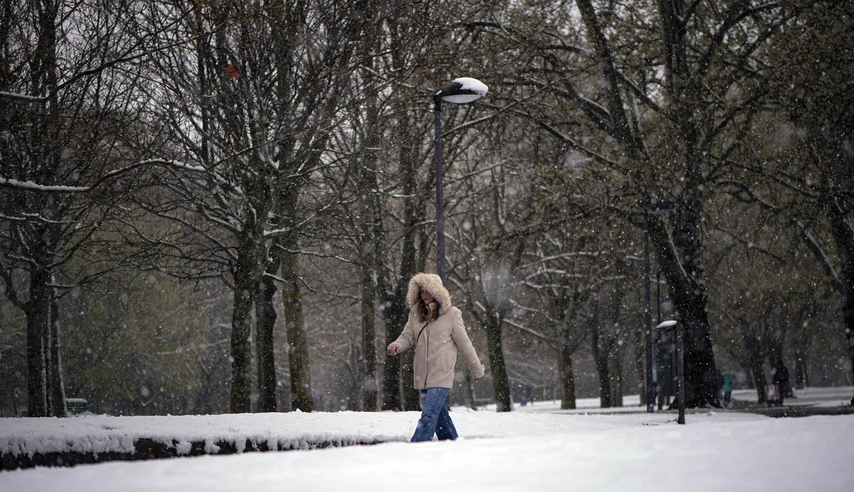 Seorang wanita berjalan melewati saat salju menutupi kota pada hari musim semi, di Pamplona, Spanyol utara (2/4/2022). Pihak berwenang mengumumkan suhu rendah untuk hari-hari berikutnya. (AP Photo/Alvaro Barrientos)