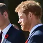 Pangeran William dan Pangeran Harry (AP Files)