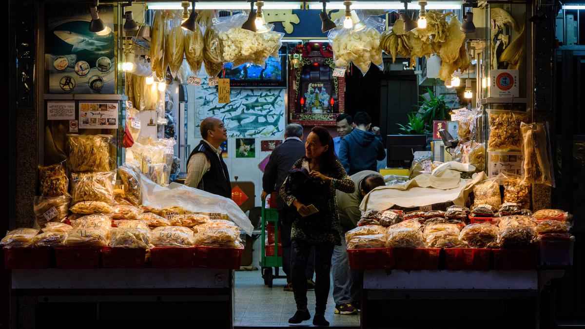 Pakar Ingatkan Risiko Anak Makan Ikan Hiu, Bisa Picu Gangguan Saraf Serius
