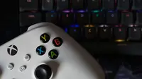 Microsoft Confirms 'Project Helix': A Next-Gen Xbox Console That Can Play PC Games
