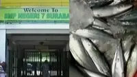 Siswi SMP Dihukum Minta Maaf - Belasan Ton Ikan Berformalin