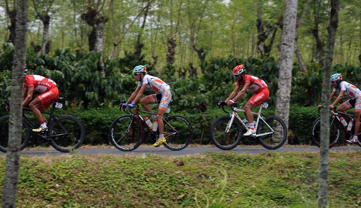 Beberapa pebalap Tour De Banyuwangi Ijen melintasi jalur perkebunan di wilayah Kabupaten Banyuwangi Jawa Timur, (16/10/2014). (Liputan6.com/Helmi Fithriansyah)