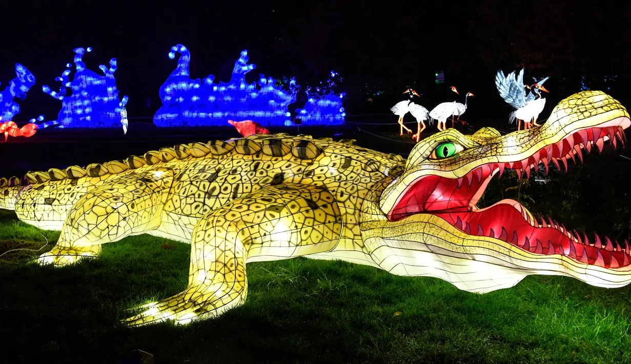 Gambar pada 15 November 2019 menunjukkan patung buaya raksasa  diterangi lampu berwarna sebagai bagian dari pameran festival cahaya di Kebun Binatang Jardin des Plantes, Paris. Festival Cahaya bertajuk "Ocean en voie d'illumination" ini digelar dari 18 November 2019 - 19 Januari 2020. (BERTRAND GUAY