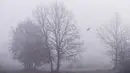 Seekor burung gagak terbang melewati pohon-pohon yang terlihat melalui kabut tebal di dekat kota Pristina (18/12/2019). Pristina dan banyak kota lain di Kosovo mengalami polusi udara tingkat tinggi. (AFP/Armend Nimani)
