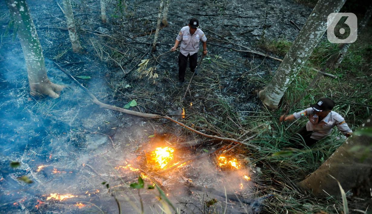 Kebakaran diduga berasal dari puntung pengendara bermotor. (merdeka.com/Arie Basuki)