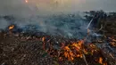 Petugas berusaha memadamkan kebakaran lahan gambut di Kecamatan Siak Hulu, Kabupaten Kampar, Riau, Senin (9/9/2019). Sulitnya sumber air di lokasi kebakaran menjadi kendala petugas untuk memadamkan bara api yang menghanguskan sedikitya lima hektare lahan gambut di kawasan tersebut. (Wahyudi / AFP)