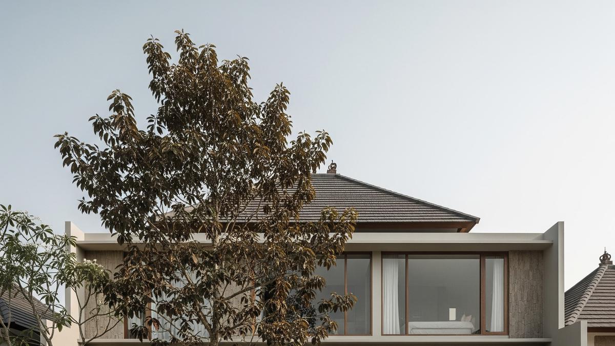 15 Pohon Hias Tinggi Ramping Cocok untuk Pagar Hidup di Halaman Rumah, Privasi Maksimal &amp; Estetik