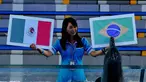 Seekor lumba-lumba tampak menunjuk bendera Brasil saat diminta untuk meramal pertandingan antara Meksiko VS Brasil (Liputan6.com/Andrian M Tunay)