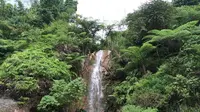 Curug Ciburial (Dzulfikar/Liputan6.com)