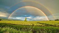 Rainbow Quotes: 50 Inspirational And Funny Words To Brighten Up Your Cloudy Day