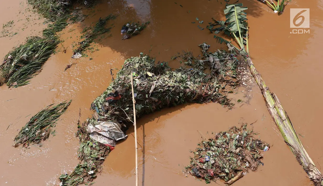 Sampah terlihat di aliran Sungai Ciliwung yang meluap di kawasan Pejaten Timur, Jakarta, Jumat (26/4). Banjir kiriman melalui Sungai Ciliwung yang berasal dari Bogor tersebut mengakibatkan sejumah wilayah di Ibukota terendam banjir. (Liputan6.com/Immanuel Antonius)
