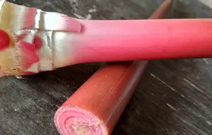 4 Trik Mengolah Kecombrang agar Aromanya Tetap Segar dan Bebas Langu