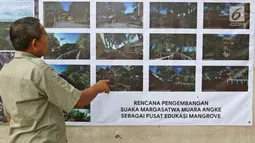 Petugas melihat contoh pembangunan di Suaka Margasatwa Muara Angke, Jakarta, Selasa (17/9/2019). Suaka Margasatwa Muara Angke akan dikembangkan sebagai pusat edukasi mangrove. (Liputan6.com/Herman Zakharia)