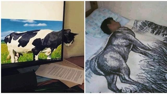 6 Potret Nyeleneh Ini Bikin Orang Harus Berpikir Dua Kali 
