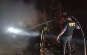 Kebakaran Kandang Ayam di Blora, Kerugian Capai Rp 1,8 M
