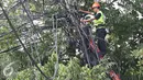 Petugas PLN mengecek instalasi kabel di tiang listrik milik PLN, Jakarta (26/2). Mulai 28 Februari 2016, PLN berencana membongkar perangkat atau jaringan telematika yang memanfaatkan tiang listrik di Jakarta tanpa izin. (Liputan6.com/Immanuel Antonius)