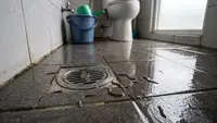 Cara Mengatasi Cacing yang Muncul di Kamar Mandi, Ketahui Penyebab dan Pencegahannya